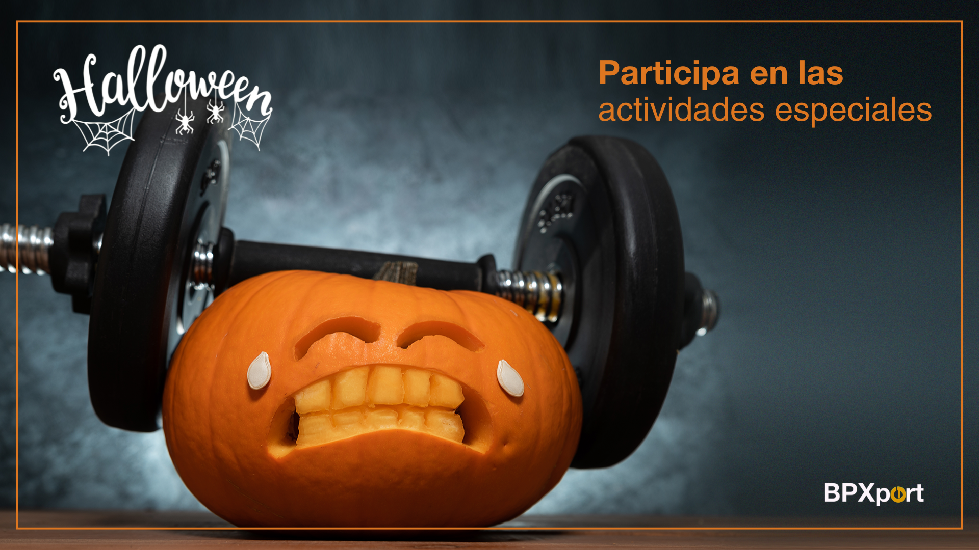 Actividades especiales en los centros Halloween 2024 en BPXport