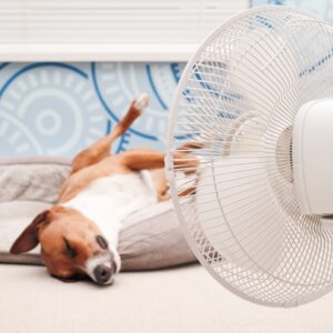 Dormir bien en verano