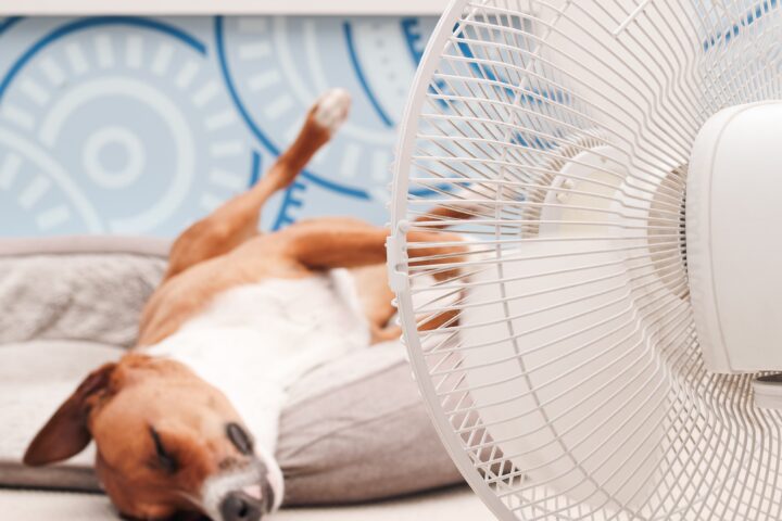 Dormir bien en verano